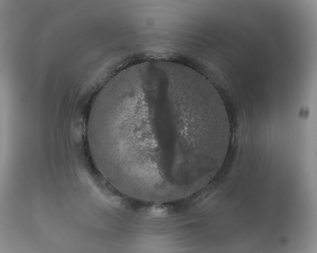X0000112350647200908201441