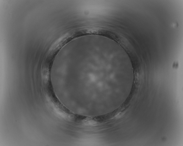 X0000112350648200908201441
