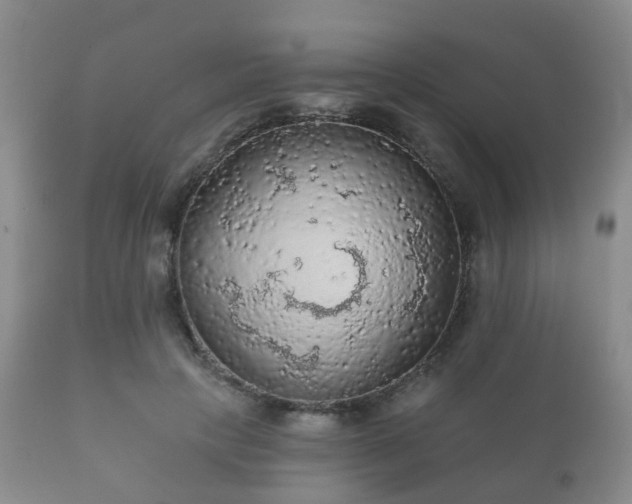 X0000112350649200908201441