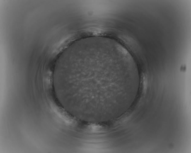X0000112350650200908201441