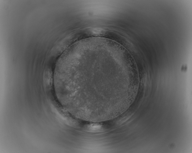 X0000112350651200908201441
