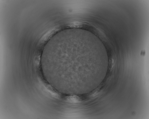 X0000112350652200908201441