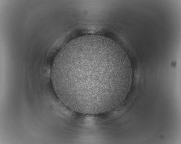 X0000112350657200908201441