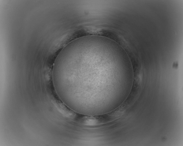 X0000112350658200908201441