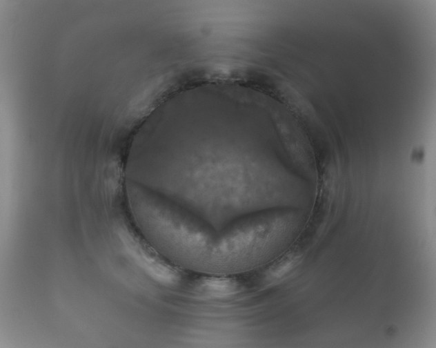 X0000112350659200908201441