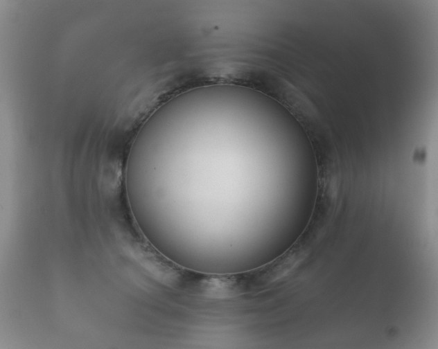 X0000112350660200908201441