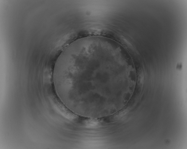 X0000112350661200908201441