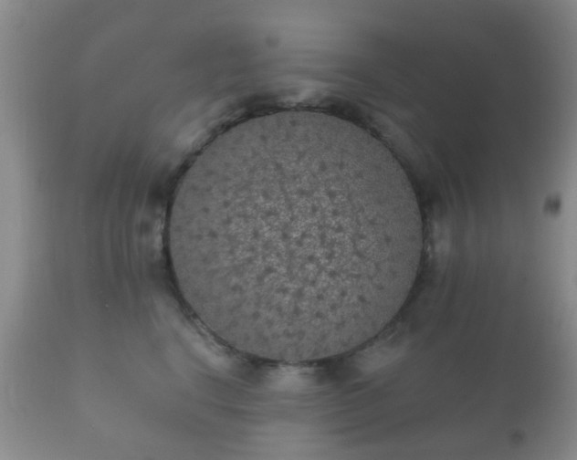 X0000112350664200908201441