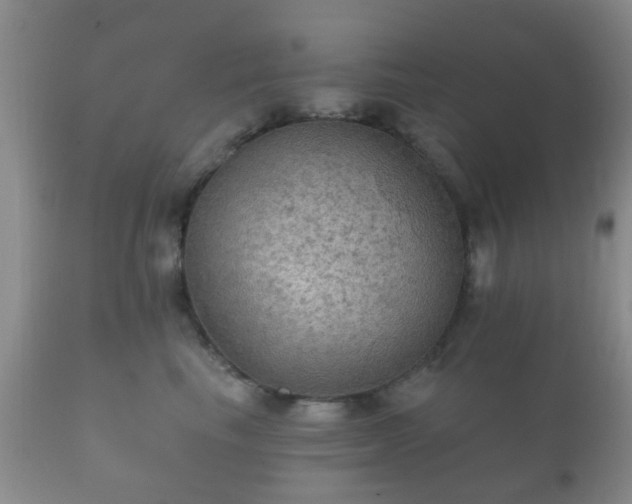 X0000112350665200908201441