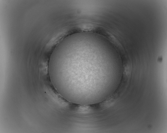 X0000112350666200908201441