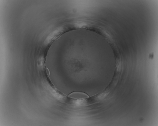 X0000112350670200908201441