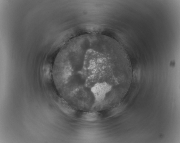 X0000112350671200908201441