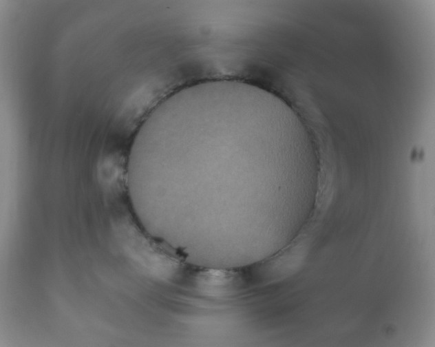X0000112350672200908201441