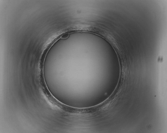 X0000112350674200908201440