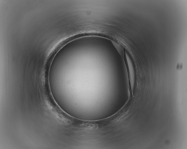 X0000112350676200908201440