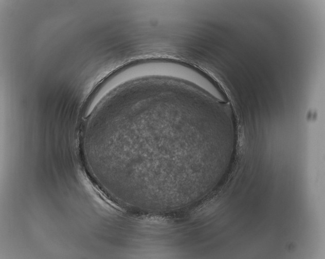 X0000112350677200908201440