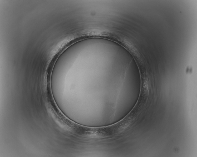 X0000112350678200908201440