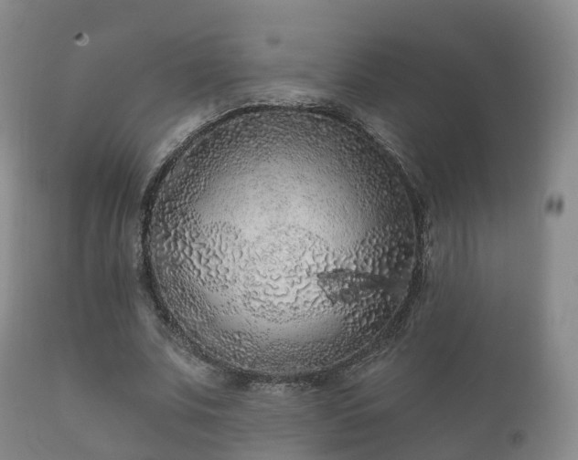 X0000112350679200908201440