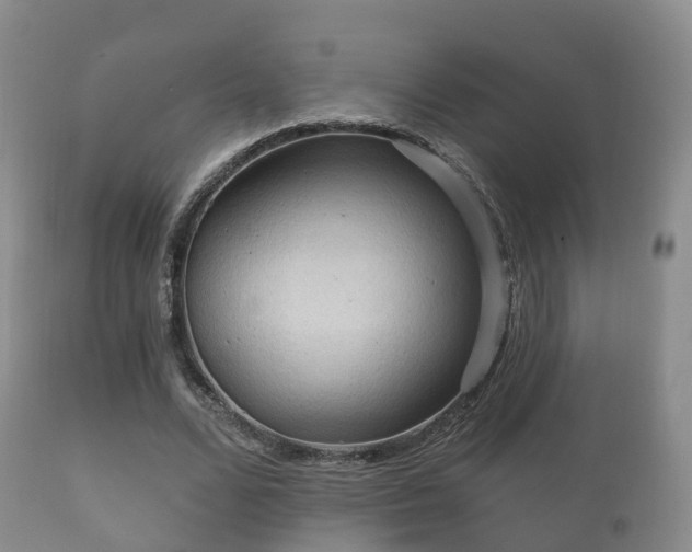 X0000112350680200908201440