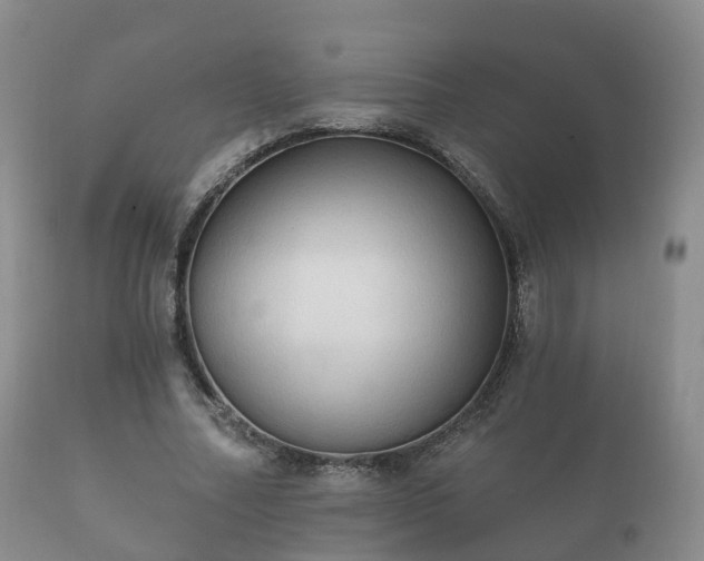 X0000112350682200908201440