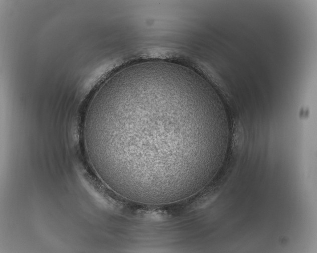 X0000112350683200908201440