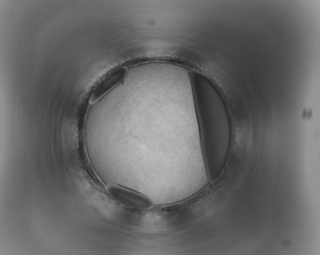 X0000112350684200908201440