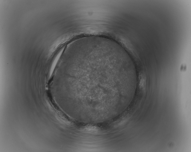 X0000112350685200908201440