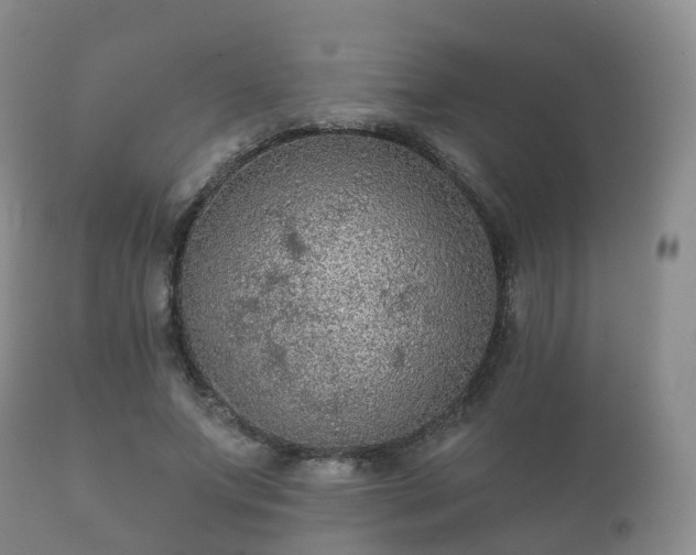 X0000112350687200908201440