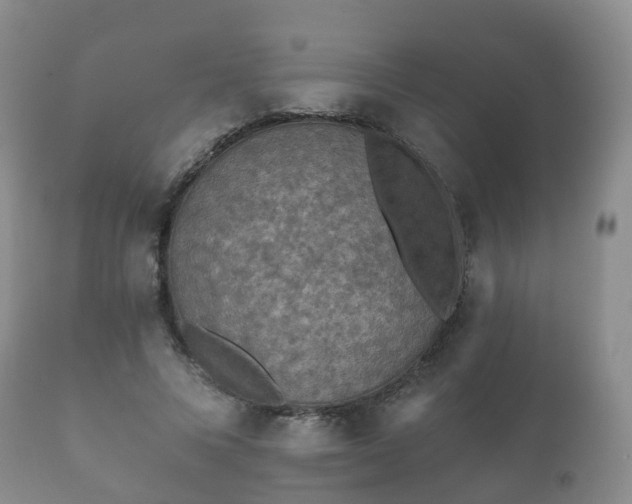X0000112350688200908201440