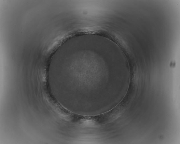 X0000112350689200908201440