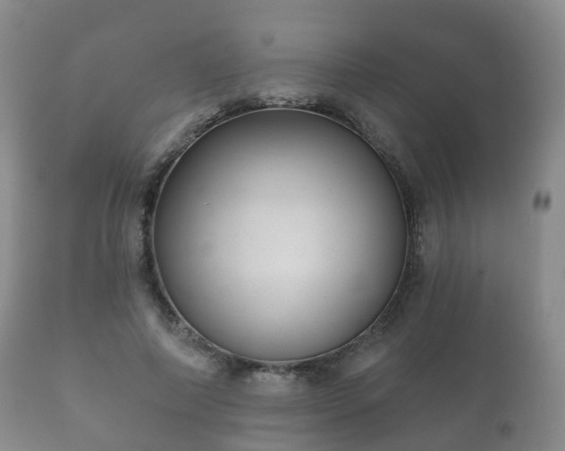 X0000112350690200908201440