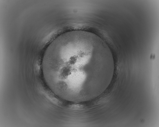 X0000112350691200908201440