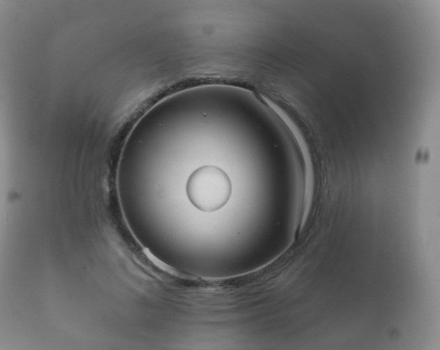 X0000112350692200908201440