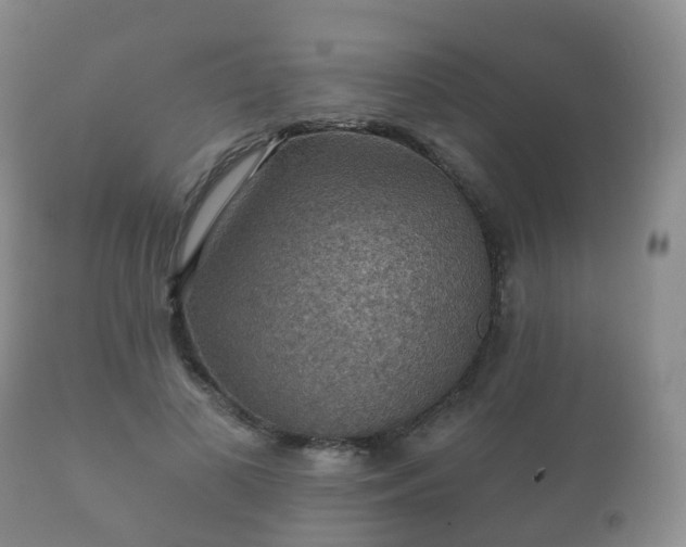 X0000112350693200908201440