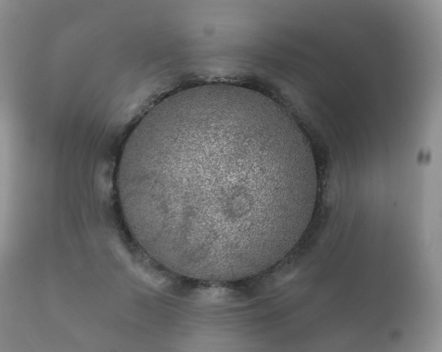 X0000112350695200908201440