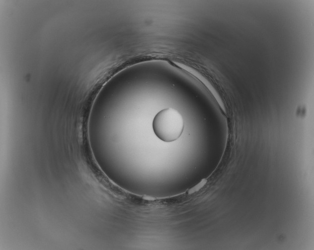X0000112350696200908201440