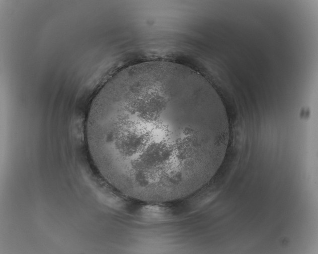 X0000112350699200908201440