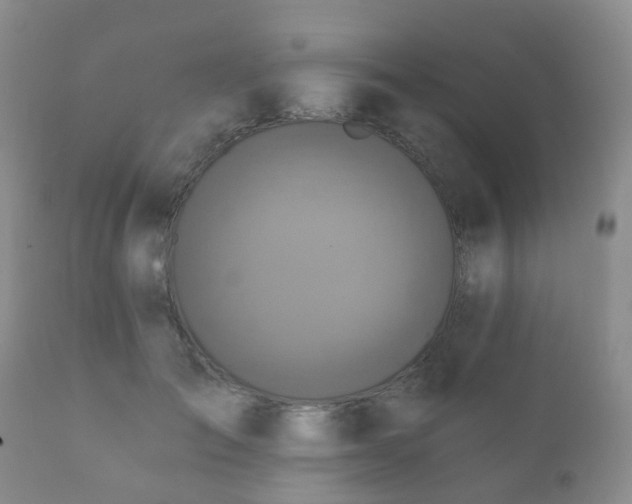 X0000112350701200908201440