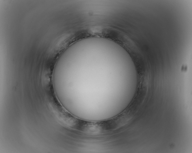 X0000112350702200908201440