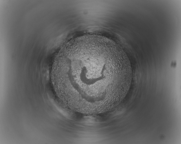 X0000112350703200908201440