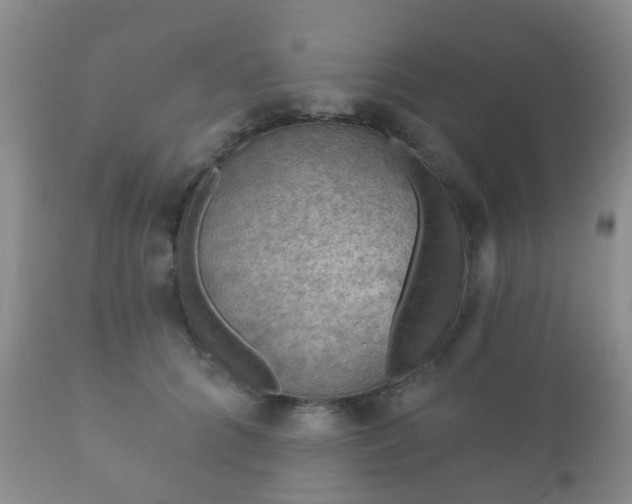 X0000112350704200908201440