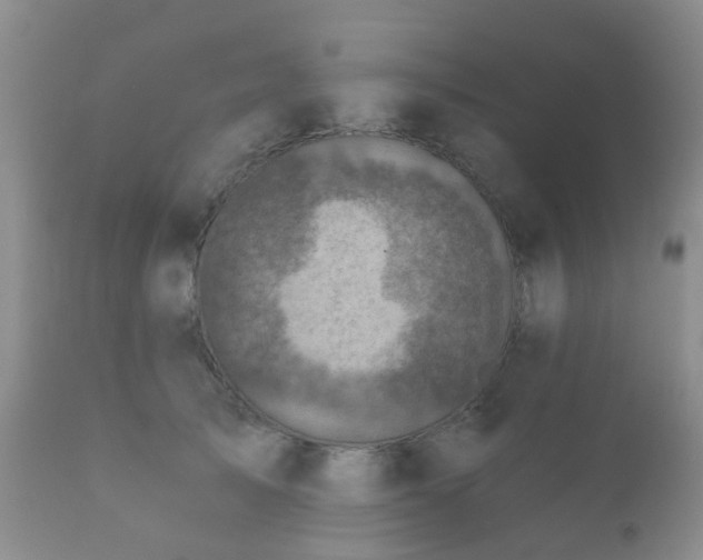X0000112350705200908201440