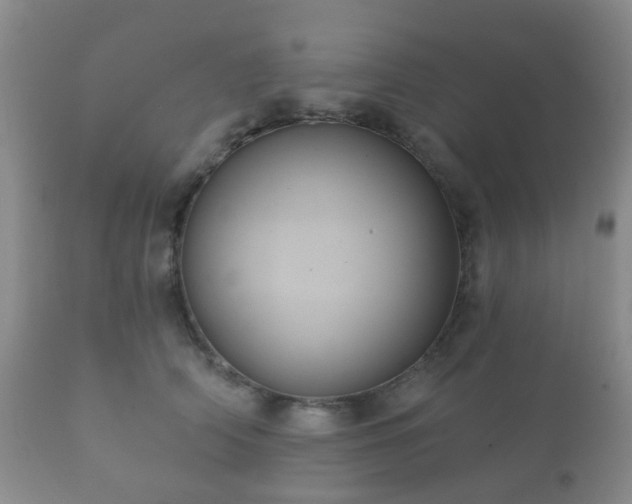 X0000112350706200908201440