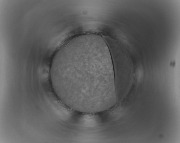 X0000112350708200908201440