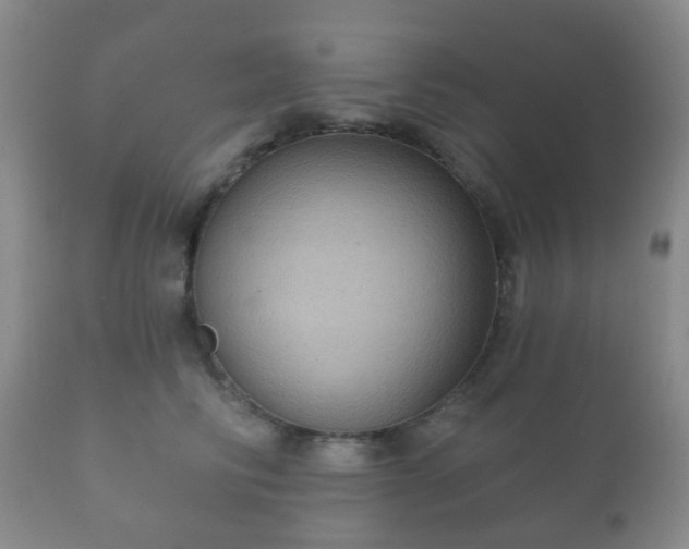 X0000112350710200908201440