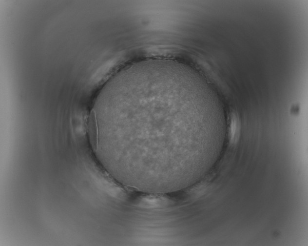 X0000112350712200908201440