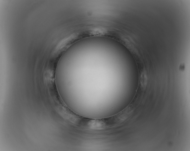 X0000112350714200908201440