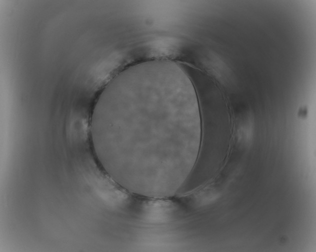 X0000112350716200908201439
