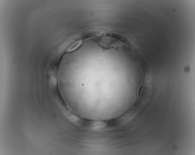 X0000112350719200908201439