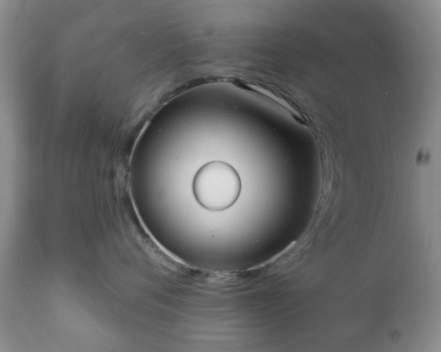 X0000112350720200908201439